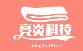 亮炎六网