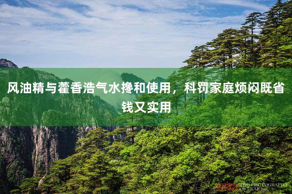 风油精与藿香浩气水搀和使用，科罚家庭烦闷既省钱又实用