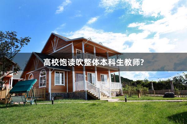 高校饱读吹整体本科生教师?
