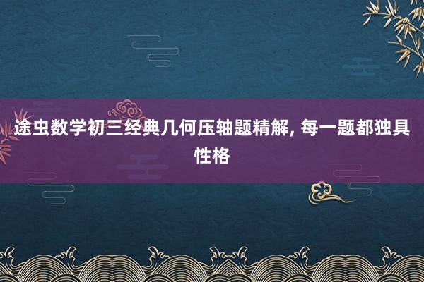 途虫数学初三经典几何压轴题精解, 每一题都独具性格