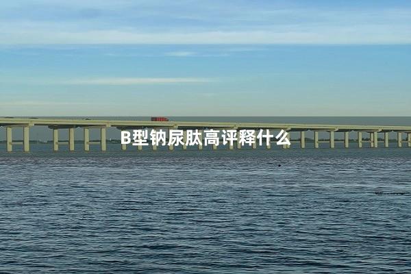B型钠尿肽高评释什么