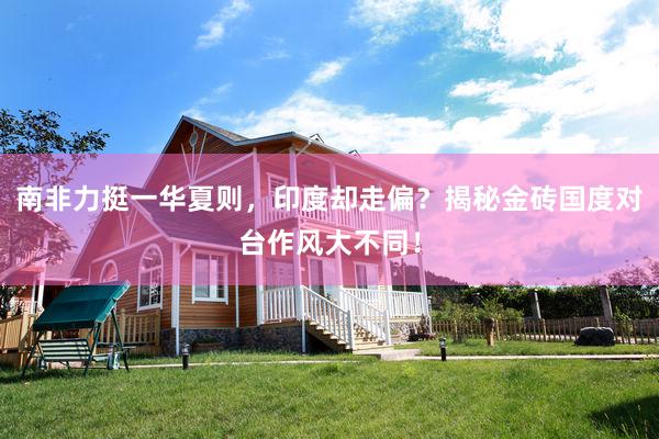 南非力挺一华夏则，印度却走偏？揭秘金砖国度对台作风大不同！
