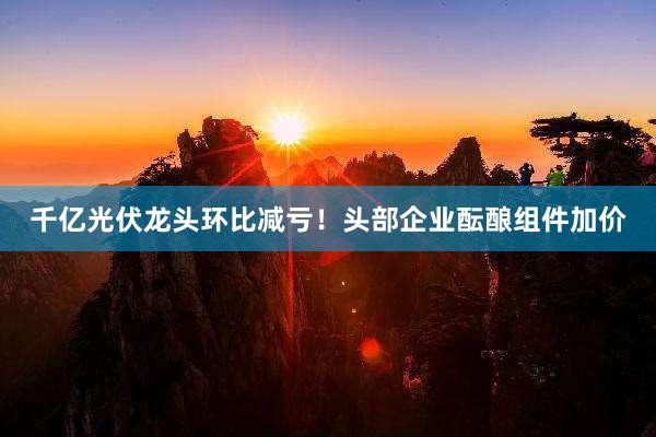 千亿光伏龙头环比减亏！头部企业酝酿组件加价