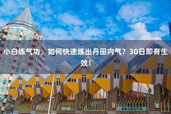小白练气功，如何快速练出丹田内气？30日即有生效！