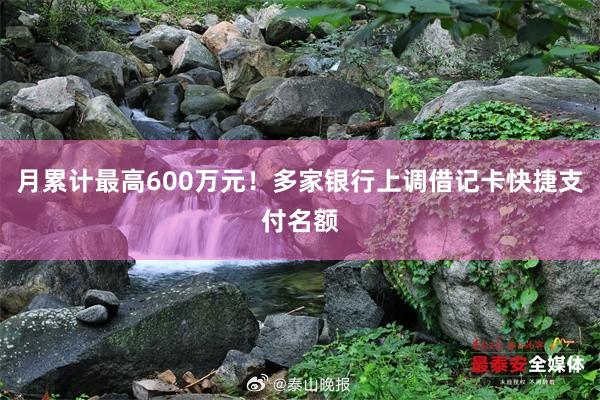 月累计最高600万元！多家银行上调借记卡快捷支付名额