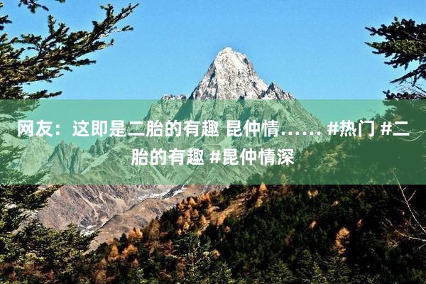 网友：这即是二胎的有趣 昆仲情…… #热门 #二胎的有趣 #昆仲情深