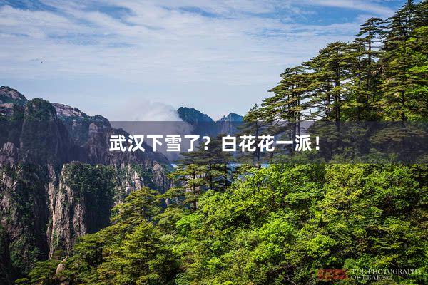 武汉下雪了？白花花一派！