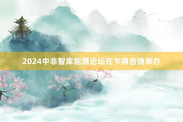 2024中非智库能源论坛在乍得告捷举办
