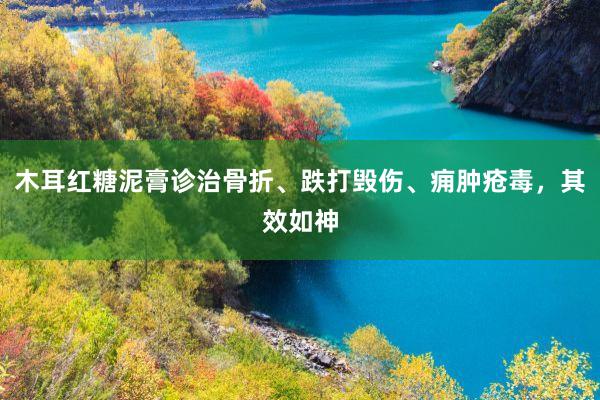 木耳红糖泥膏诊治骨折、跌打毁伤、痈肿疮毒，其效如神